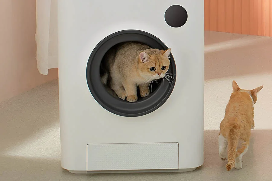 cat auto litter box