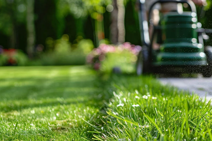 small battery powered lawn mower